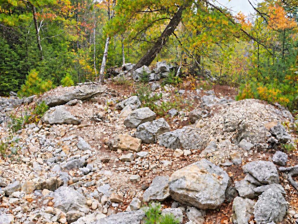 Recent photo of Swamp Quarry #1 showing dump site